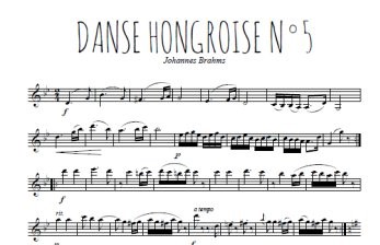 Danse hongroise n°5 (J. Brahms)