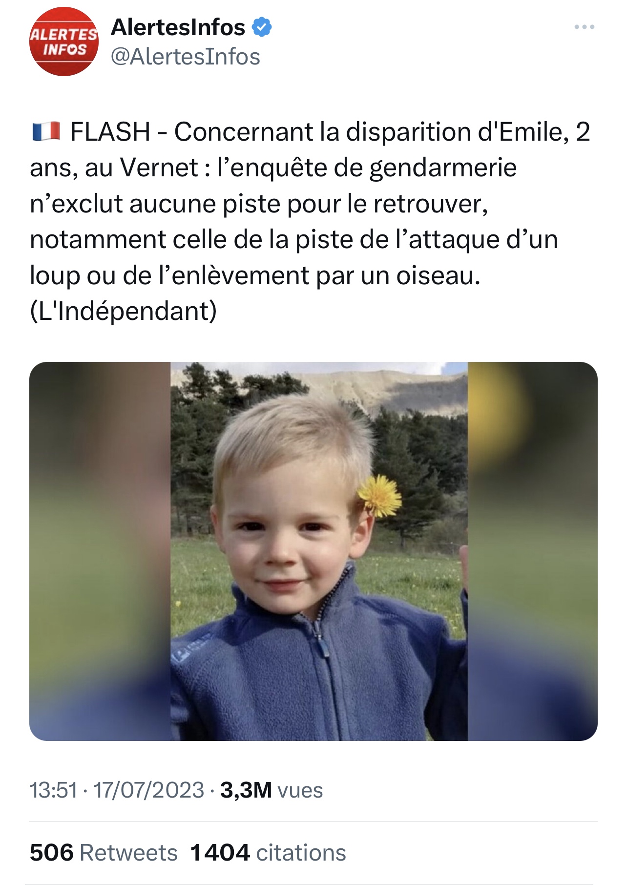 Drôles d’oiseaux !