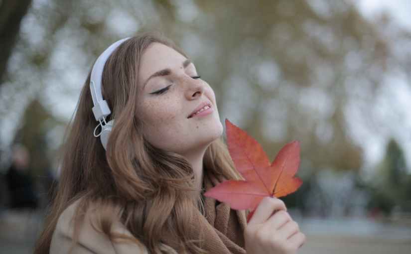 Notes d&rsquo;automne 🍁