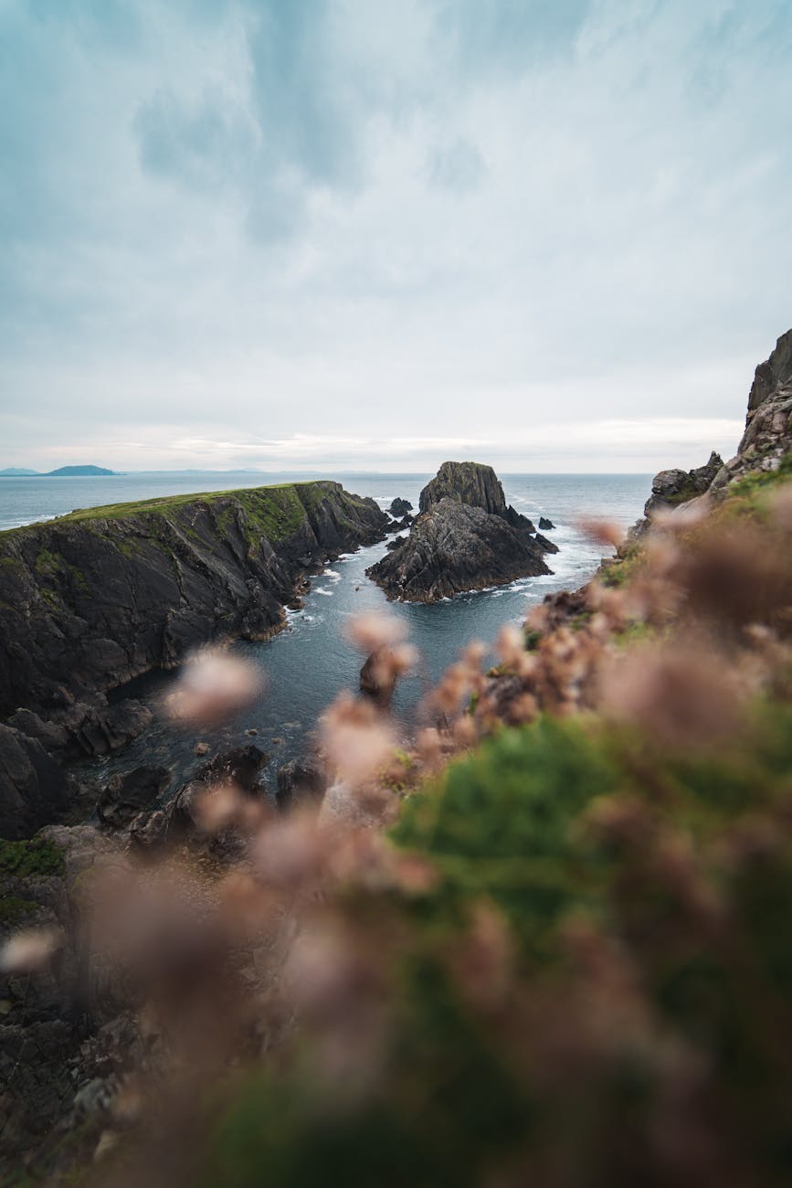 Le juge est resté de&nbsp;bois