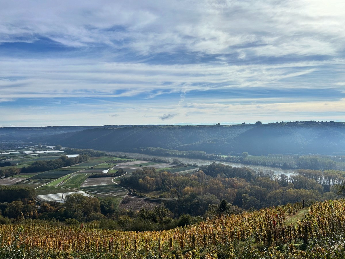 Le belvédère de Tupin et&nbsp;Semons