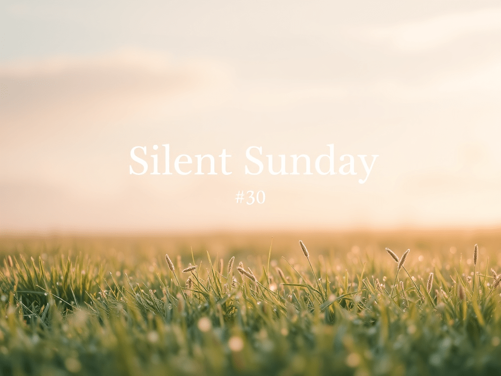 Silent Sunday #30