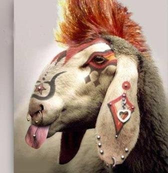 Le mardi, c&rsquo;est permis&nbsp;!